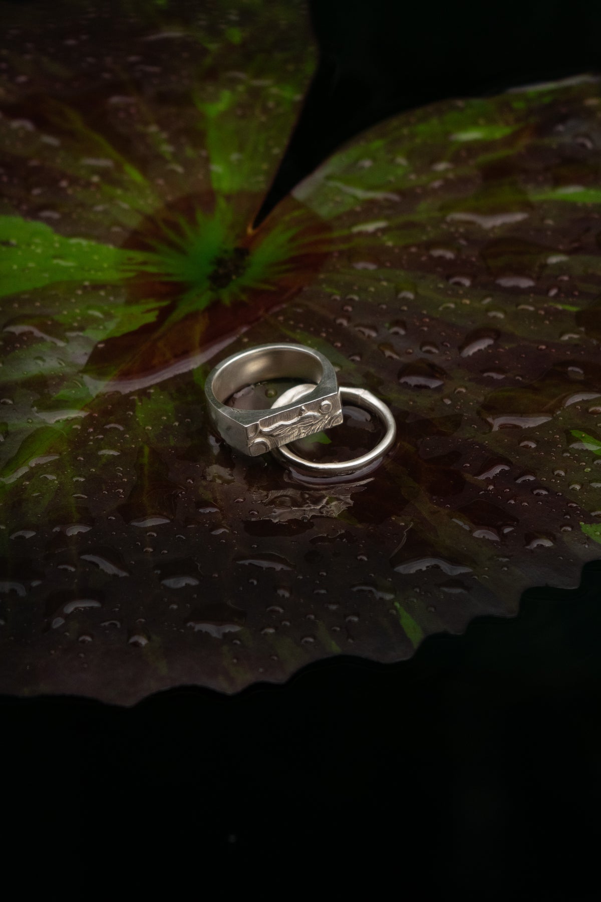 Pond Ring