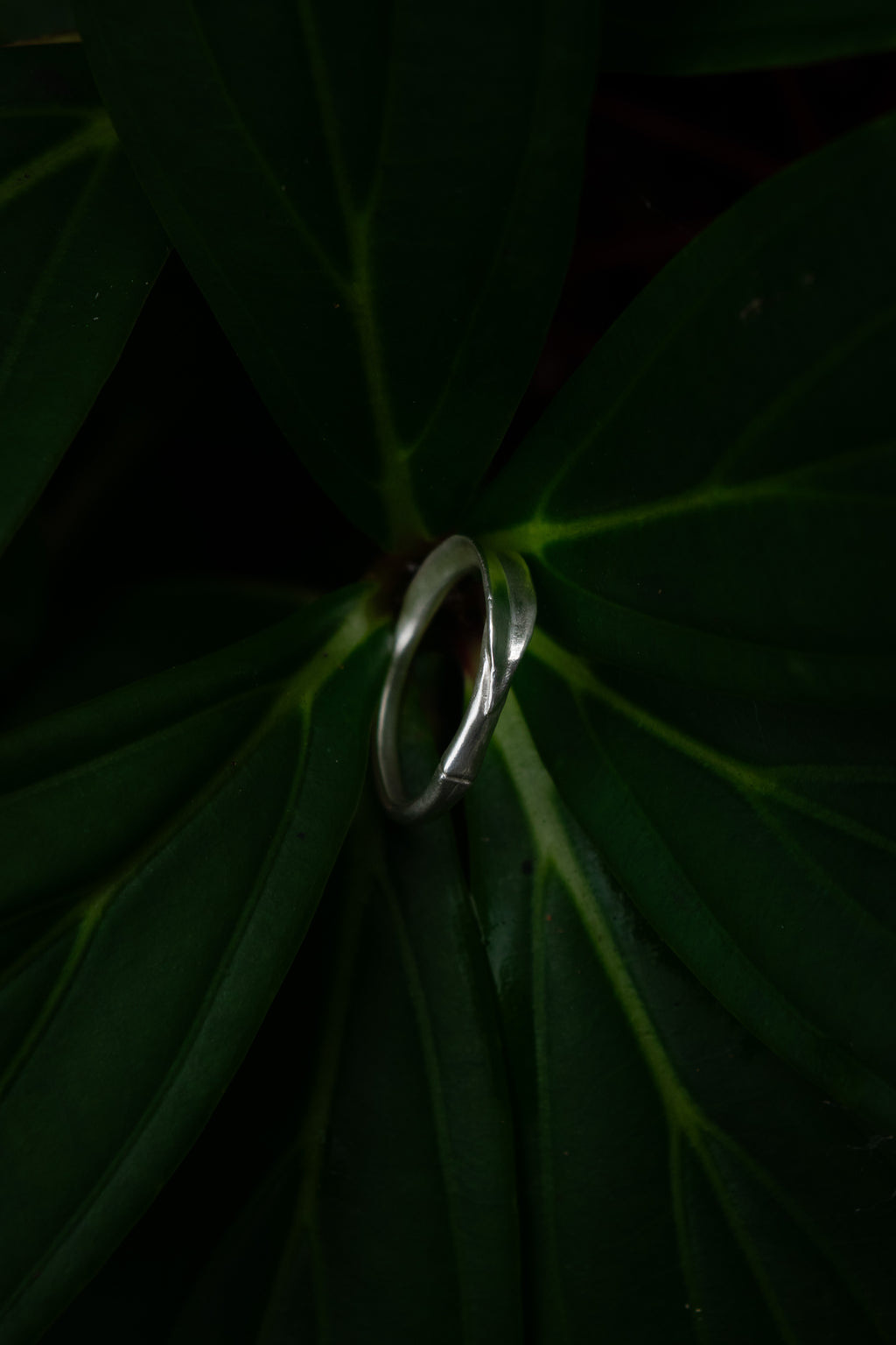 Bamboo Ring