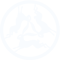 House of the Hare